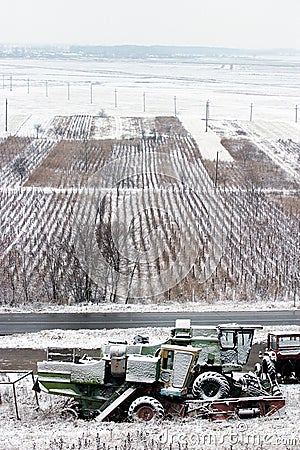 Agriculture field, vineyard and agricultural equipment garage Stock Photo