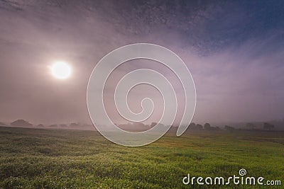 Agriculture field with thick mists of fog at the crack of dawn Stock Photo