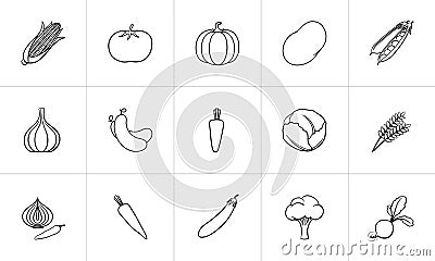 Agriculture food hand drawn sketch icon set. Vector Illustration