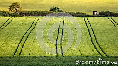 Agriculture in Germany Stock Photo