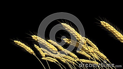 agriculture, golden rye or wheat spikelets isolated, computer generated object 3D rendering Cartoon Illustration