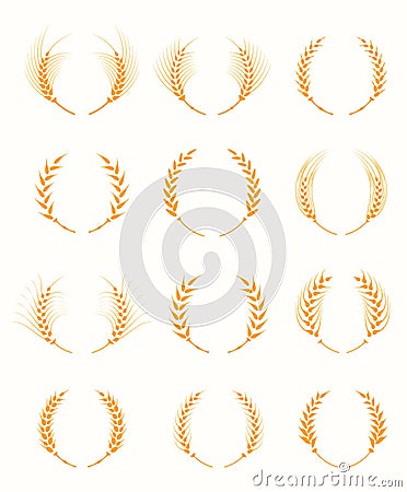 Agriculture grain, organic plant, bread food. Vector Illustration