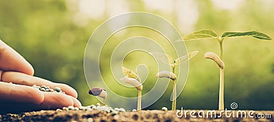 Agriculture Stock Photo