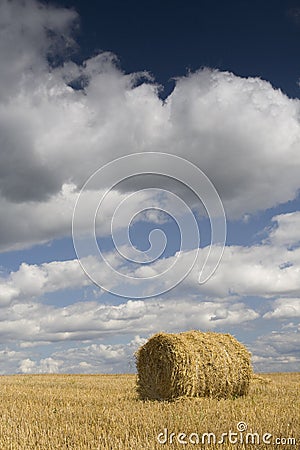 Agriculture - Haystack Stock Photo