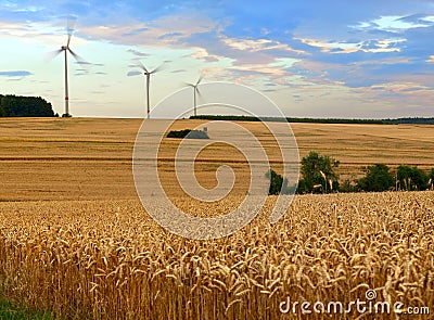 Agriculture landscape Stock Photo