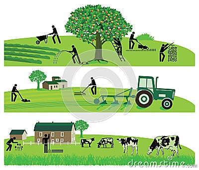 Agriculture and livestock Vector Illustration