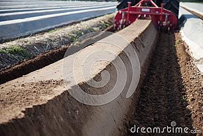 Agriculture machines on asparagus field Stock Photo