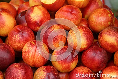 Agriculture-peaches Stock Photo