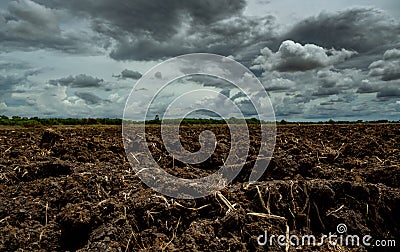 Agriculture plowed field. Black soil plowed field with stormy sky. Dirt soil ground in farm. Tillage soil prepared for planting Stock Photo