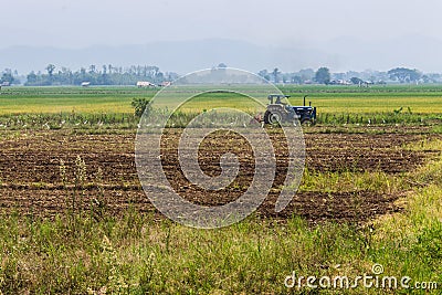 Agriculture plowing tractor on wheat cereal fields Stock Photo