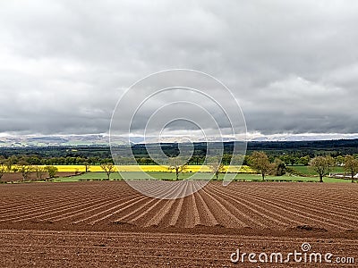 Agriculture in Scotland - freshly plowed field and rapeseed field in background - spring in Scotland Stock Photo