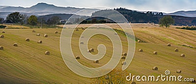 Agriculture in Scotland - Perth and Kinross Council District Stock Photo