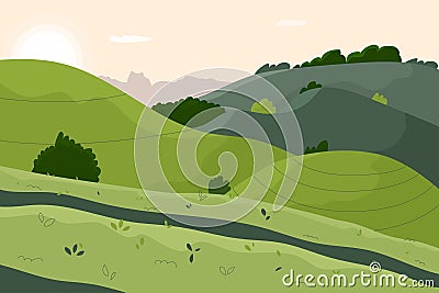 Agriculture tea leaf field landscape Vector Illustration