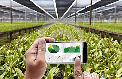 agriculture technology concept man Agronomist Using a Tablet in Stock Photo