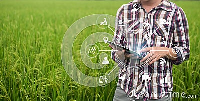 Agriculture technology farmer man using tablet computer. Stock Photo