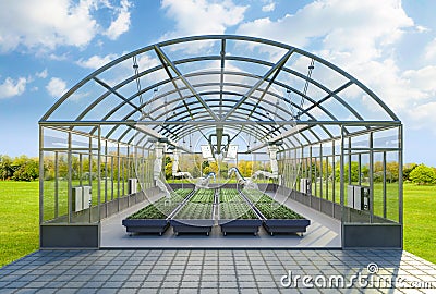 Agriculture technology with robot assistant in indoor farm or glasshouse Stock Photo