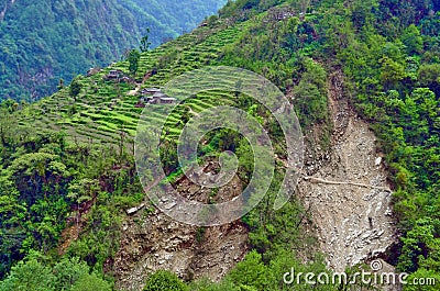 Agriculture terraces field mountain green nature village landscape in Nepal. Stock Photo