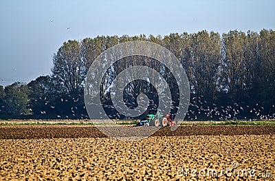 Agriculture - Tractor plough up Stock Photo