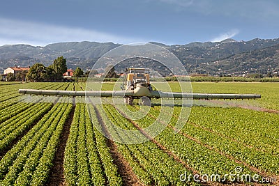 Agriculture, tractor spraying pesticides on field farm Stock Photo