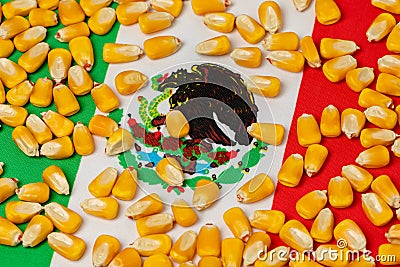 Mexico flag and corn kernels Stock Photo