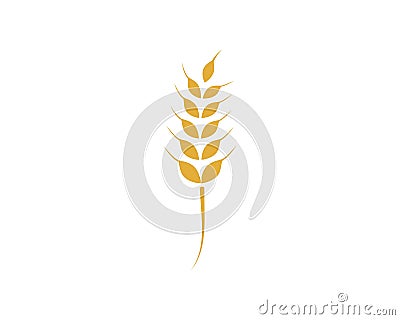 Agriculture wheat Logo Template Vector Illustration