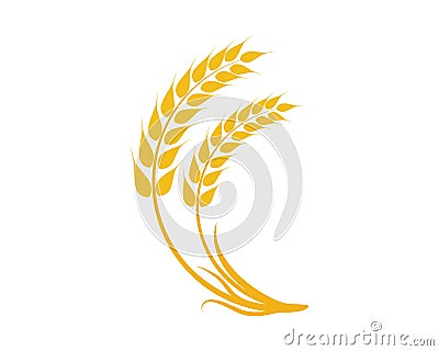 Agriculture wheat Logo Template vector icon Vector Illustration