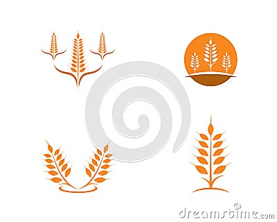 Agriculture wheat Logo Template vector icon Vector Illustration
