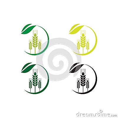 Agriculture wheat Logo Template vector icon design ,organic wheat logo icon vector, ,Stylish logo for the Farmers Market in golden Vector Illustration