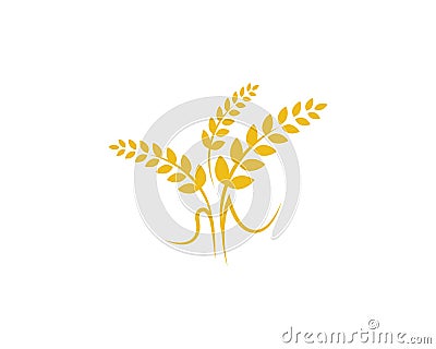 Agriculture wheat vector Vector Illustration
