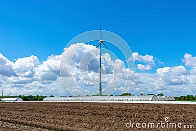Agriculture and wind power with asparagus field and greenhouses. Stock Photo