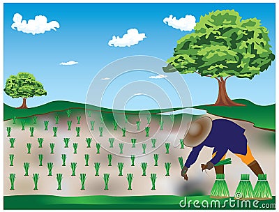 The agriculturist Vector Illustration