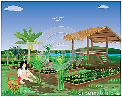 agriculturist harvest vegetable in garden Vector Illustration