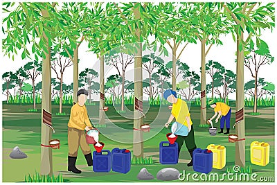 Agriculturist harvest water rubber in garden Vector Illustration