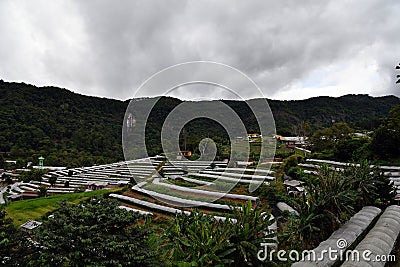 Agricuture village in valley with small green house for agricultual production Stock Photo