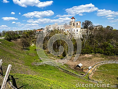 Agritourism with a yak farm at the foot of the Teczyn Castle in the village of Rudno near Krzeszowice in Poland Stock Photo