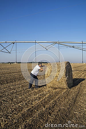 Agronomist or farmer in a field next to a straw bale Stock Photo