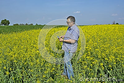 Agronomist inspecting quality of canola field Stock Photo