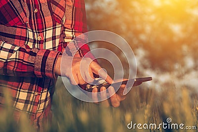 Agronomist using smart phone mobile app to analyze crop development Stock Photo