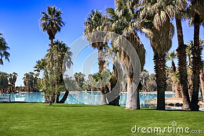 Agua Caliente Park, Tucson AZ Stock Photo