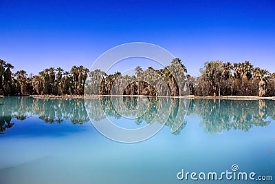 Agua Caliente Park, Tucson AZ Stock Photo