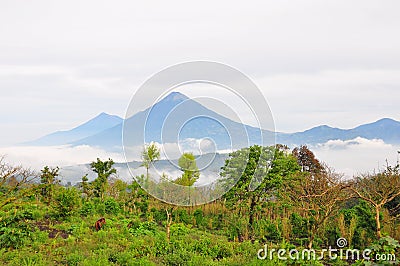Agua Volcano, Guatemala Stock Photo