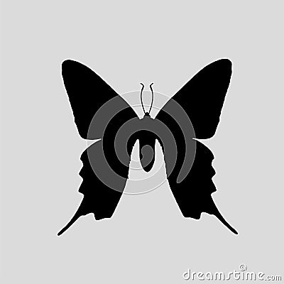 Butterfly Silhouette vectors images Vector Illustration