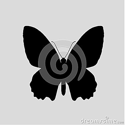 Butterfly Silhouette vectors images Vector Illustration