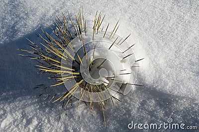 Ah-Shi-Sle-Pah Wilderness Study Area in winter ,New Mexico Stock Photo