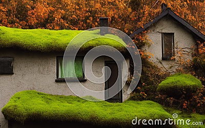 AI generated hyper realistic illustration of a small cozy countryside house with mossy rooftops Cartoon Illustration