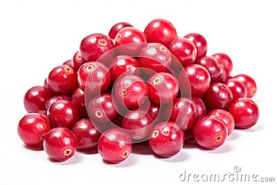 AI-generated illustration of a pile of fresh cranberries isolated on a white background Cartoon Illustration