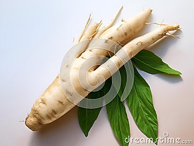 AI generated illustration of rooted white carrots on a tabletop Cartoon Illustration