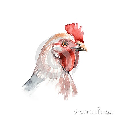 AI generated illustration of a vibrant watercolor painting of a chicken on a white background Cartoon Illustration