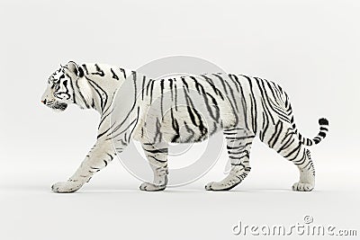 Majestic white tiger with striking stripes on white background Stock Photo