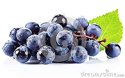 AI generative. Blue wet grapes bunch Stock Photo